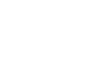 Morning Joe